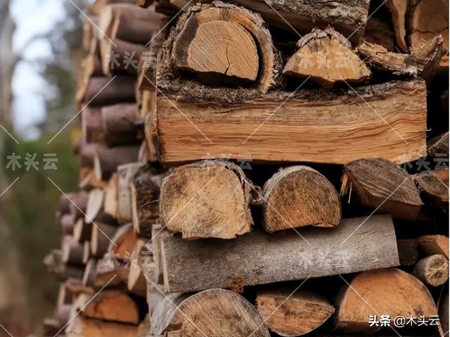 杉木木材价格多少（杉木原木市场价格）